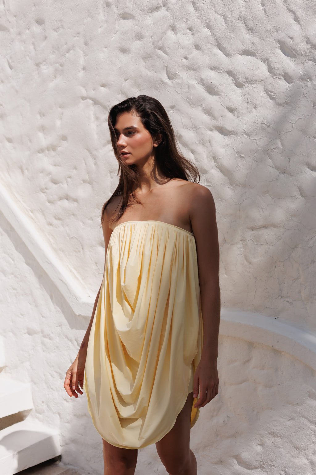GIA BUTTER DRESS/SKIRT